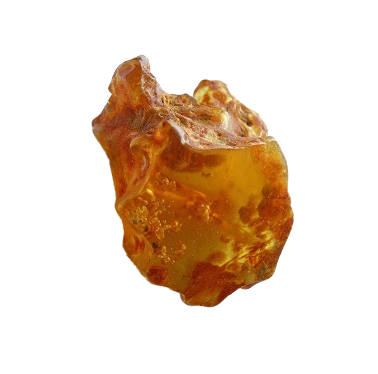 Natural Amber From NY Bold & Trendy